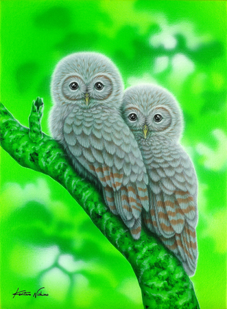 Owl Together 3