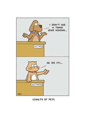 Cat & Dog – Loyalty