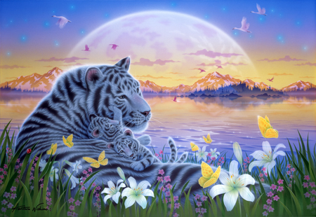 White Tiger Family Time II