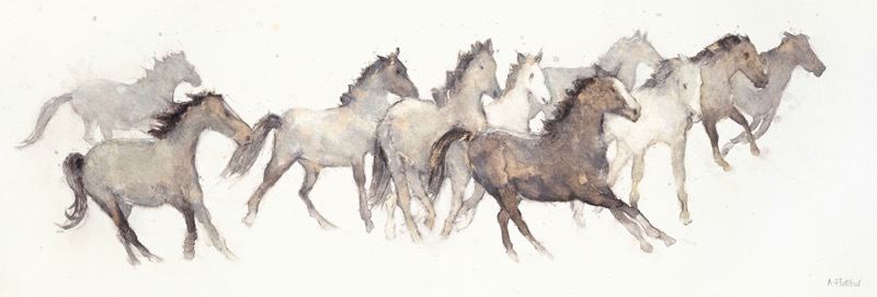 Wild Horses