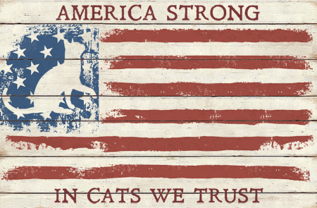 America Strong Cat