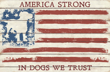 America Strong – Dog