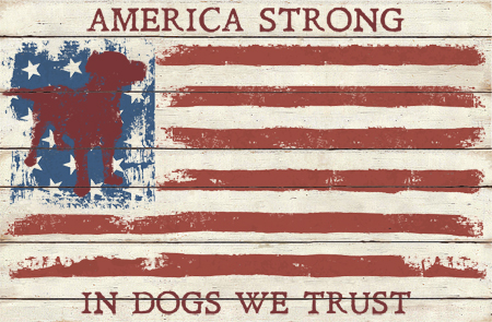 America Strong – Dog