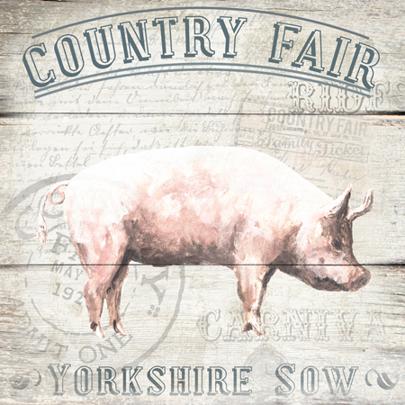 Country Fair