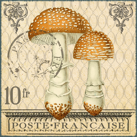 Timbres Champignons 1 – Square 4