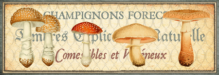 Timbres Champignons 1 B Horizontal Panel