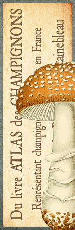 Timbres Champignons 1 F Vertical Panel