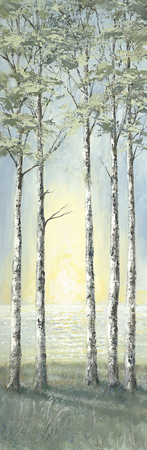 Sunlit Trees