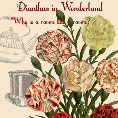 Diantus in Wonderland Square 1