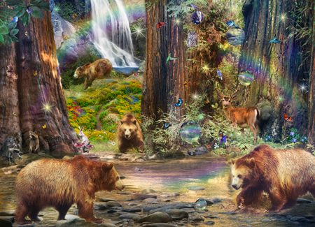 Bear Forest