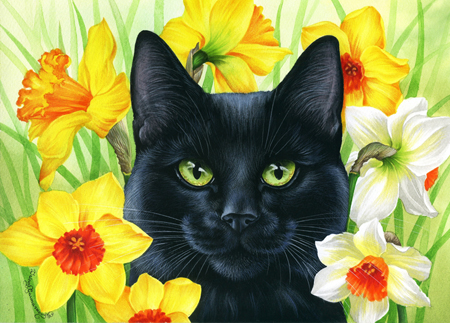 Daffodils Cat