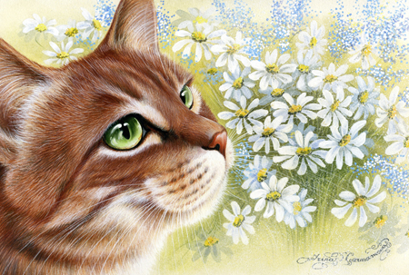 Daisies Cat