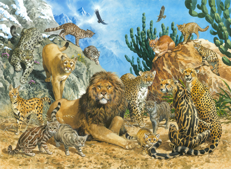 Big Cats of the World