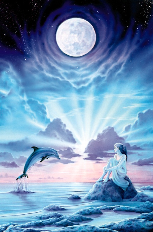 Dolphin Dream