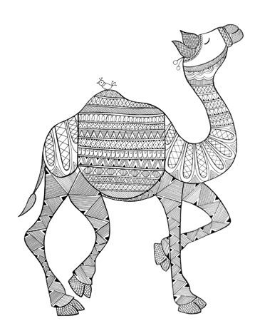 Animal Camel 3