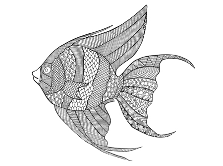 Sea – Angel Fish