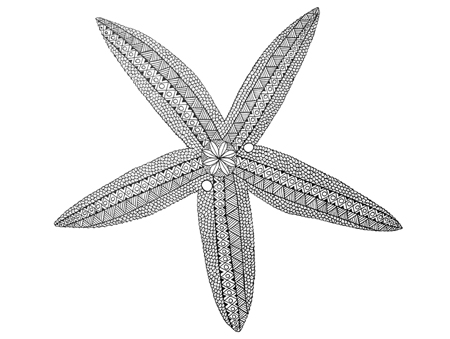 Sea – Star Fish