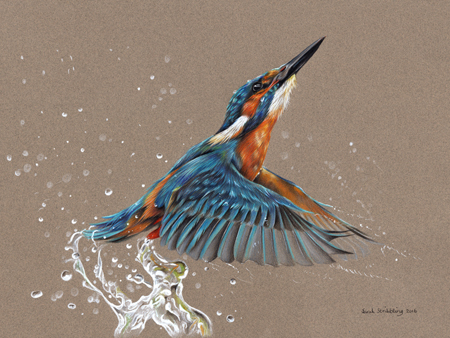 Kingfisher