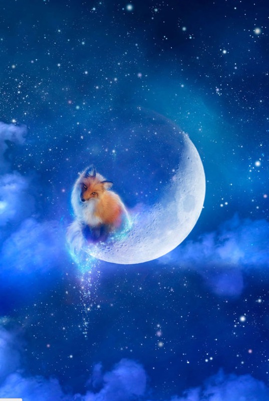 Moon Fox