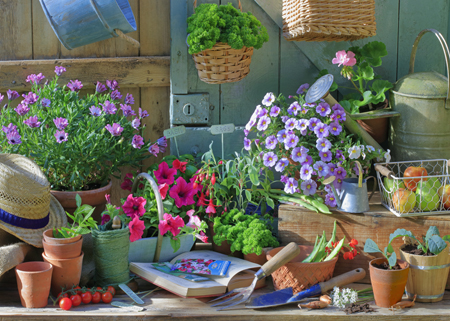 In The Potting Shed G234