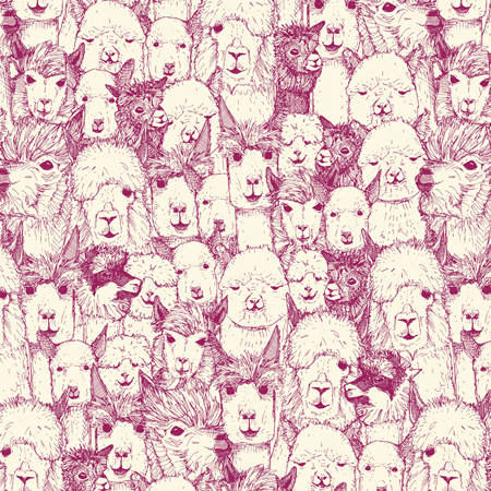 Just Alpacas