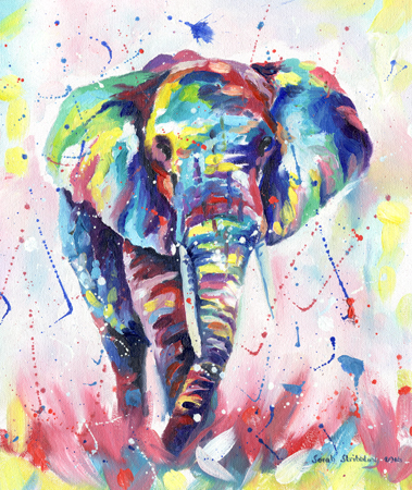 Bull Elephant Multicolour