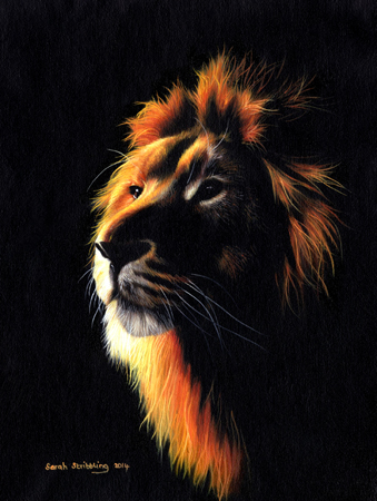 Lion Twillight 2