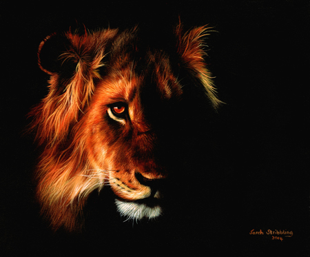 Lion Twillight 3