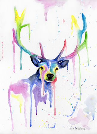 Stag Multicolour