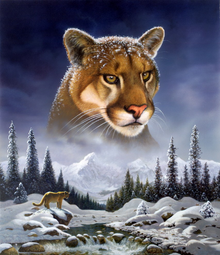 Mountain Lion