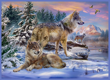 Wolves in Winter