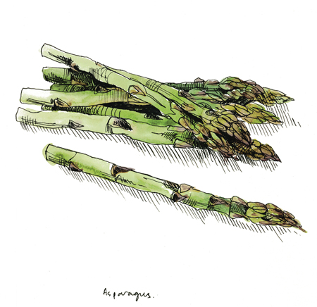 Asparagus