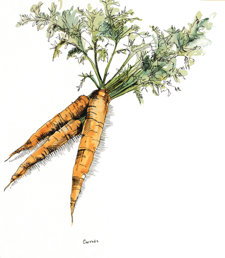 Carrots