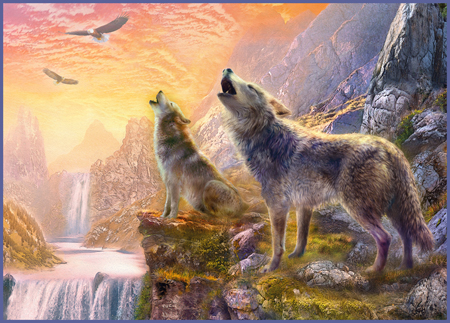 Sunset Howling Wolves