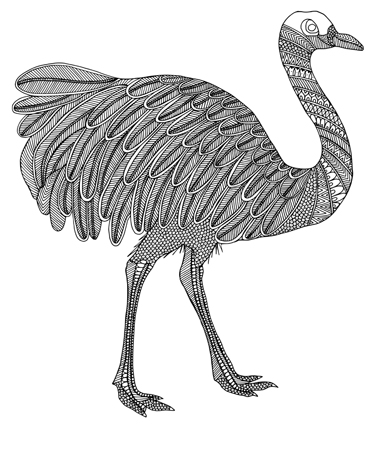 Ostrich