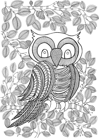 Garden Owl