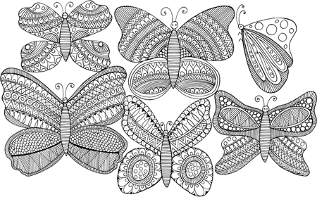 Butterfly Pattern