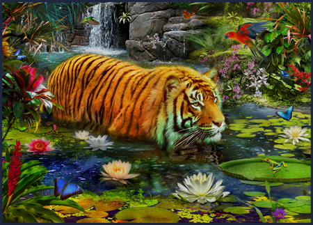 Tiger in Water