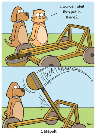 Cat and Dog – Catapult