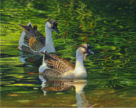 African Geese