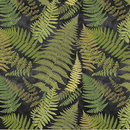 Fern Leaf Pattern