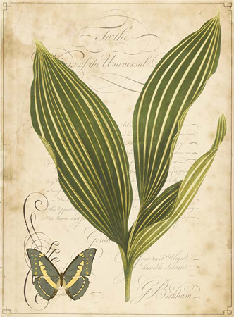 Leaves and Green Butterfly 2