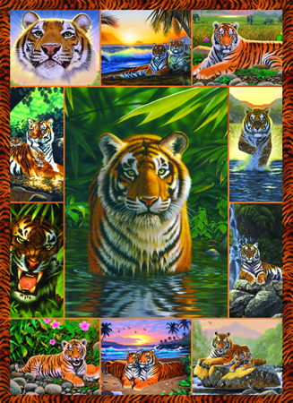 Tiger Pool Multipic