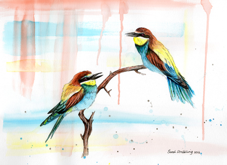 Bee Eaters Watercolour