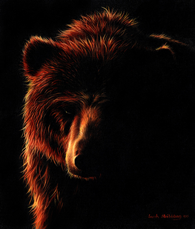 Brown Bear Twilight