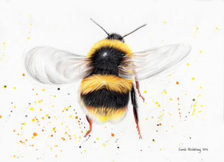 Bumble Bee Colour Splash