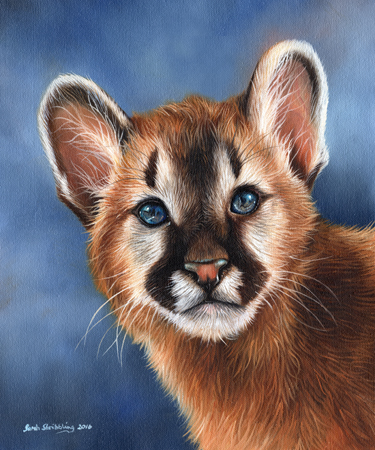 Cougar Cub Portrait