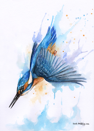 Diving Kingfisher