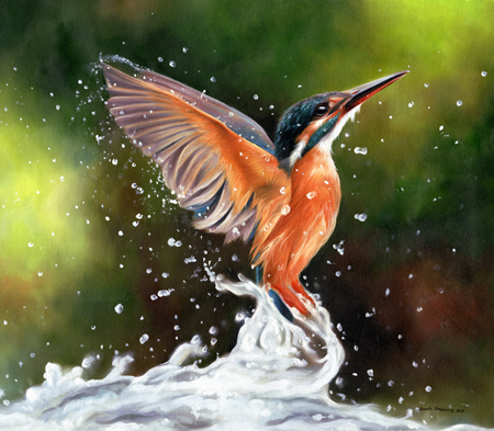 Kingfisher In Water