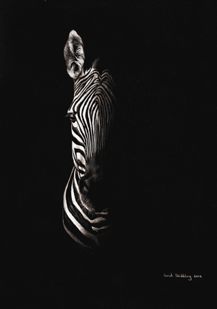 Zebra Twilight